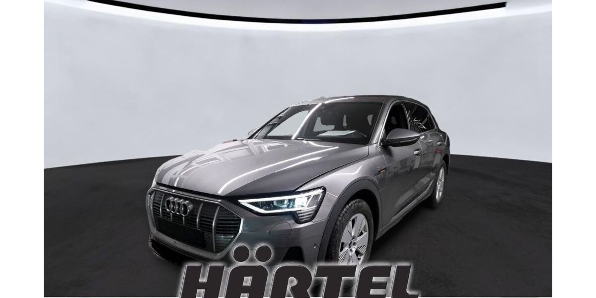 Audi e-tron 31.300 km 28.800 &euro; Osnabrück 49084