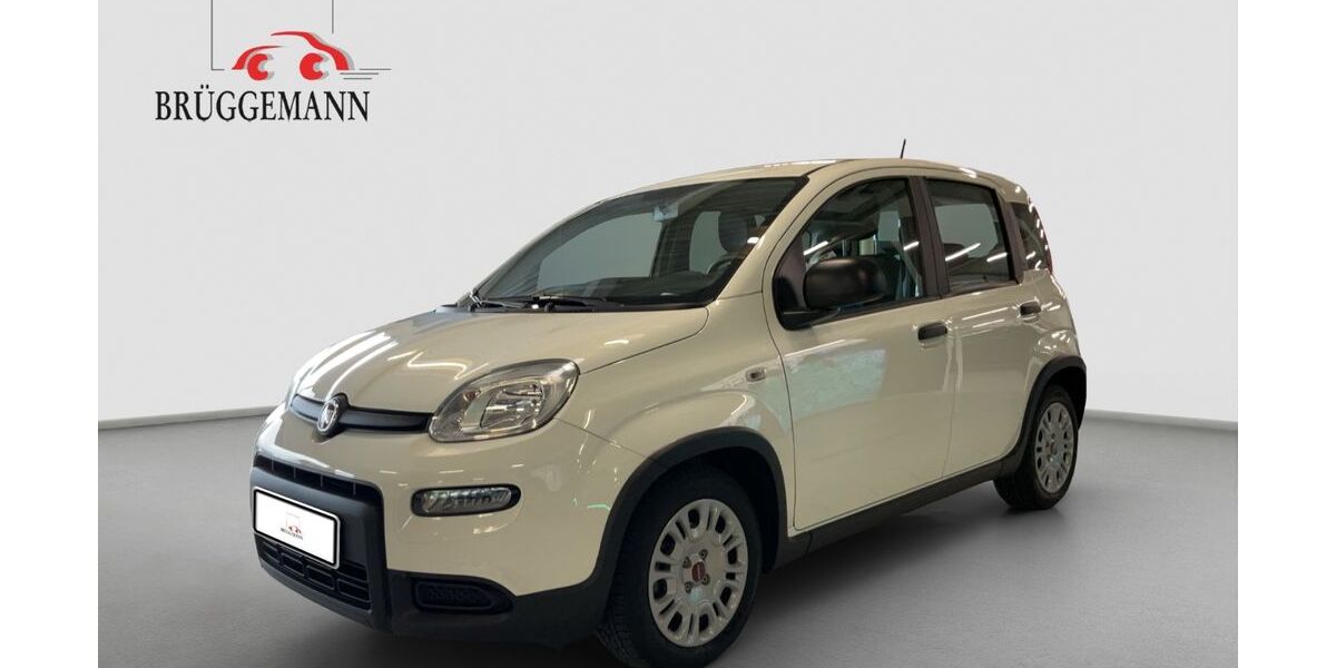 Fiat Panda 38.879 km 10.990 &euro; Osnabrück 49078