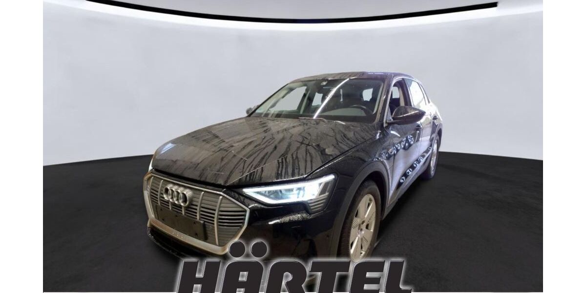 Audi e-tron 31.900 km 28.000 &euro; Osnabrück 49084